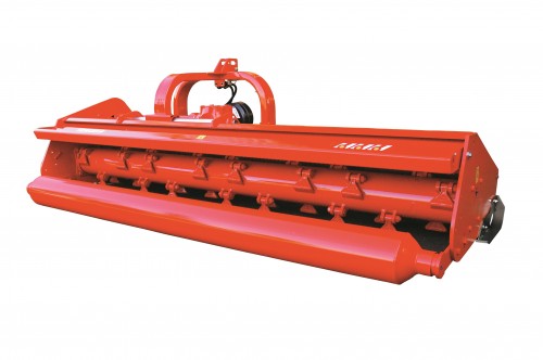 DSC 3668-nera - Copia jpg