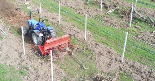 155353136 2083734101756613 4349021025616719516 n